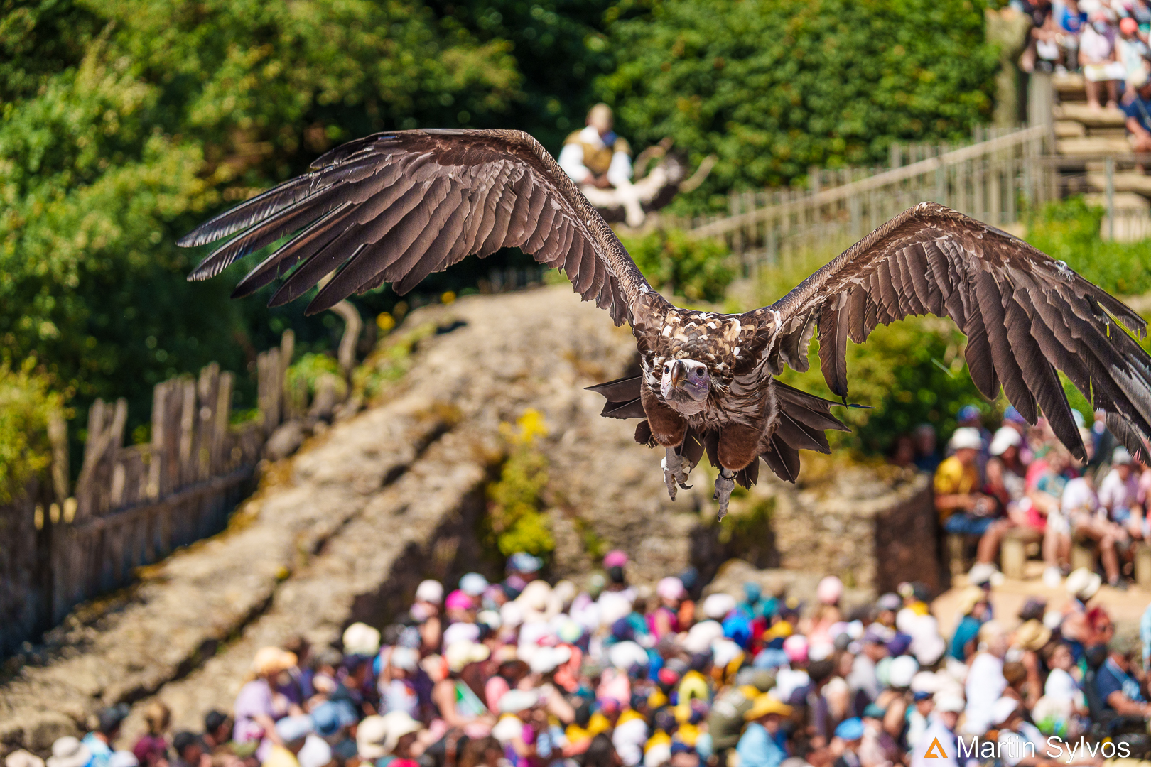 2022 Puy du fou   le bal des oiseaux fantome 3